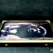 Подарочные нарды под стеклом «Золотой лев» — фотография 6